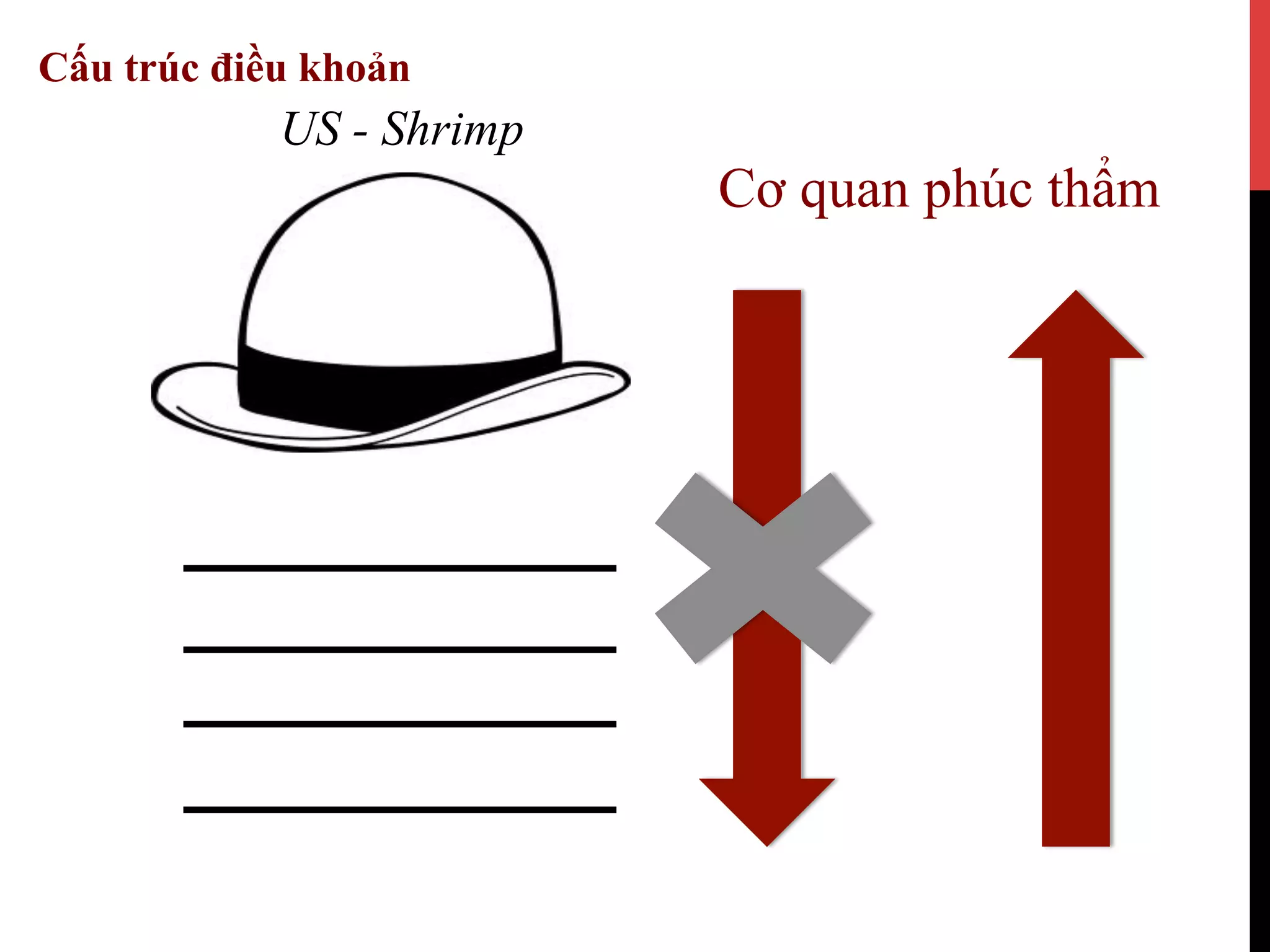 US - Shrimp
Cơ quan phúc thẩm
Cấu trúc điều khoản
 