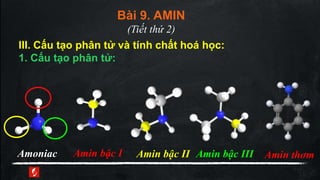 Bai-9- AMIN-HOA 12- CO BAN | PPTX