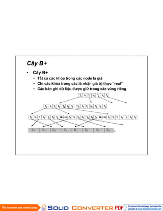 Cây B+
• Cây B+
• Tất cả các khóa trong các node là giả
• Chỉ các khóa trong các lá nhận giá trị thực “real”
• Các bản ghi dữ liệu được giữ trong các vùng riêng
 