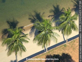 E cada praia tem seu charme único. 
