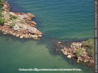 Cada porção d’água dessa baía esconde belezas infinitas... 