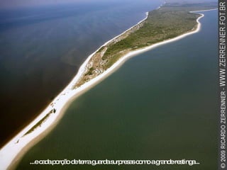 ...e cada porção de terra guarda surpresas como a grande restinga... 