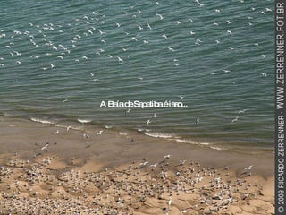 A Baía de Sepetiba é isso... 