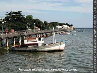 Famosa por seus vários restaurantes de frutos do mar. 