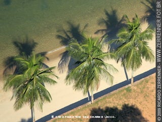 E cada praia tem seu charme único. 