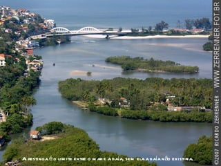 A restinga é o limite entre o mar e a baía, sem ela a baía não existiria. 