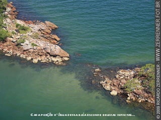Cada porção d’água dessa baía esconde belezas infinitas... 