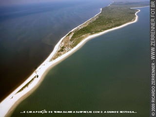 ...e cada porção de terra guarda surpresas como a grande restinga... 