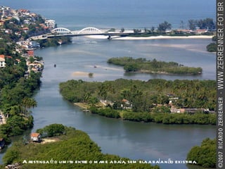 A restinga é o limite entre o mar e a baía, sem ela a baía não existiria. 
