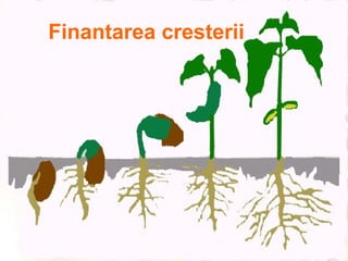 Finantarea cresterii
 