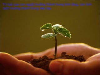 Trí tuệ của con người   trưởng thành trong tĩnh lặng,   còn tính cách trưởng thành trong bão táp 