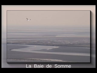 La Baie de Somme