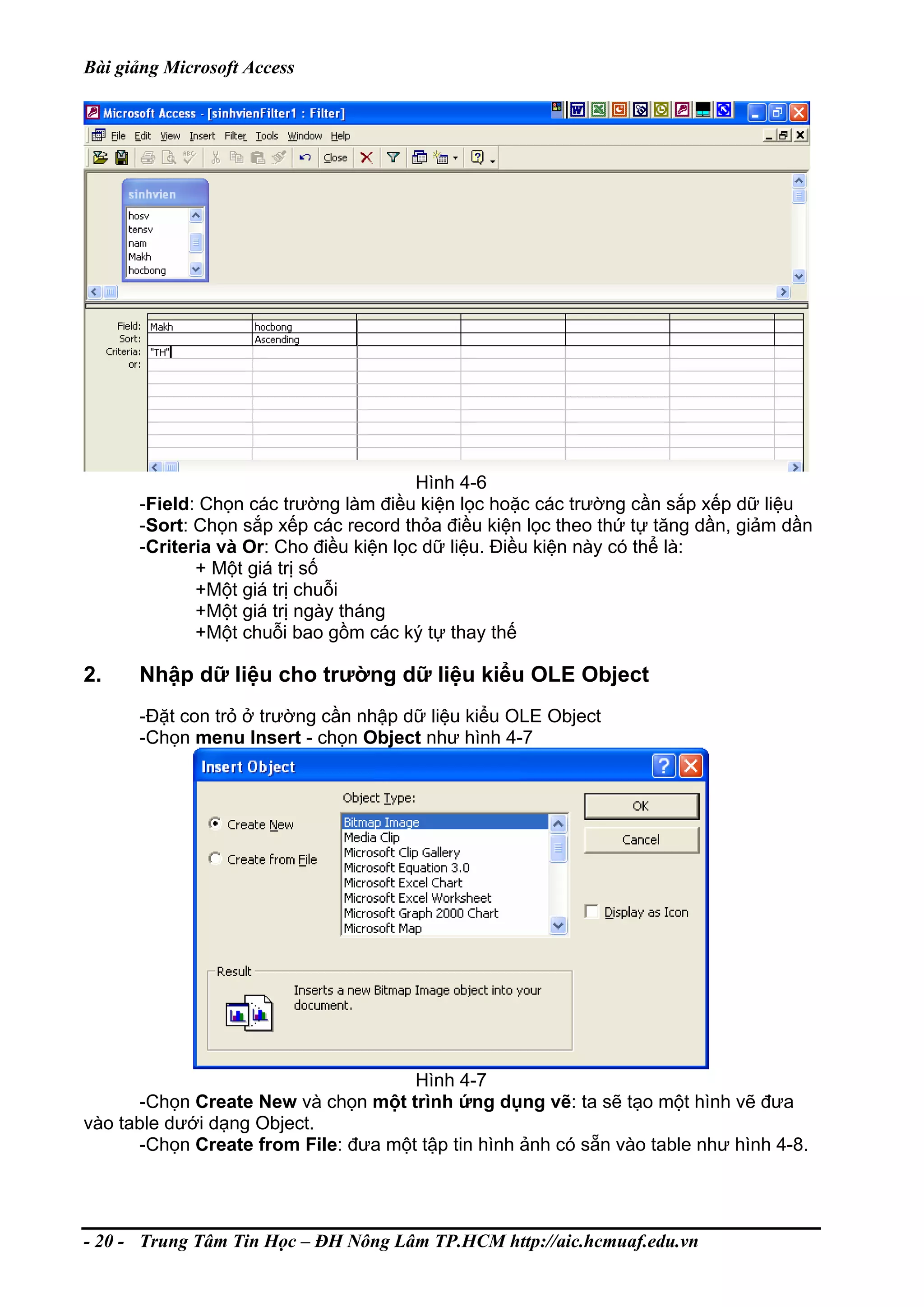 Bài giảng Microsoft Access
Hình 4-6
-Field: Chọn các trường làm điều kiện lọc hoặc các trường cần sắp xếp dữ liệu
-Sort: Chọn sắp xếp các record thỏa điều kiện lọc theo thứ tự tăng dần, giảm dần
-Criteria và Or: Cho điều kiện lọc dữ liệu. Điều kiện này có thể là:
+ Một giá trị số
+Một giá trị chuỗi
+Một giá trị ngày tháng
+Một chuỗi bao gồm các ký tự thay thế
2. Nhập dữ liệu cho trường dữ liệu kiểu OLE Object
-Đặt con trỏ ở trường cần nhập dữ liệu kiểu OLE Object
-Chọn menu Insert - chọn Object như hình 4-7
Hình 4-7
-Chọn Create New và chọn một trình ứng dụng vẽ: ta sẽ tạo một hình vẽ đưa
vào table dưới dạng Object.
-Chọn Create from File: đưa một tập tin hình ảnh có sẵn vào table như hình 4-8.
- 20 - Trung Tâm Tin Học – ĐH Nông Lâm TP.HCM http://aic.hcmuaf.edu.vn
 