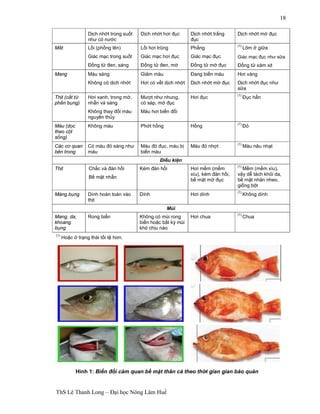 ThS Lê Thanh Long – Đại học Nông Lâm Huế 
18 
Dịch nhớt trong suốt 
như có nước 
Dịch nhớt hơi đục Dịch nhớt trắng 
đục 
Dịch nhớt mờ đục 
Mắt Lồi (phồng lên) 
Giác mạc trong suốt 
Đồng tử đen, sáng 
Lồi hơi trũng 
Giác mạc hơi đục 
Đồng tử đen, mờ 
Phẳng 
Giác mạc đục 
Đồng tử mờ đục 
(1) Lõm ở giữa 
Giác mạc đục như sữa 
Đồng tử xám xịt 
Mang Màu sáng 
Không có dịch nhớt 
Giảm màu 
Hơi có vết dịch nhớt 
Đang biến màu 
Dịch nhớt mờ đục 
Hơi vàng 
Dịch nhớt đục như 
sữa 
Thịt (cắt từ 
phần bụng) 
Hơi xanh, trong mờ, 
nhẵn và sáng 
Không thay đổi màu 
nguyên thủy 
Mượt như nhung, 
có sáp, mờ đục 
Màu hơi biến đổi 
Hơi đục (1) Đục hẳn 
Màu (dọc 
theo cột 
sống) 
Không màu Phớt hồng Hồng (1) Đỏ 
Các cơ quan 
bên trong 
Có màu đỏ sáng như 
máu 
Màu đỏ đục, máu bị 
biến màu 
Màu đỏ nhợt (1) Màu nâu nhạt 
Điều kiện 
Thịt Chắc và đàn hồi 
Bề mặt nhẵn 
Kém đàn hồi Hơi mềm (mềm 
xìu), kém đàn hồi, 
bề mặt mờ đục 
(1) Mềm (mềm xìu), 
vảy dễ tách khỏi da, 
bề mặt nhăn nheo, 
giống bột 
Màng bụng Dính hoàn toàn vào 
thịt 
Dính Hơi dính (1) Không dính 
Mùi 
Mang, da, 
khoang 
bụng 
Rong biển Không có mùi rong 
biển hoặc bất kỳ mùi 
khó chịu nào 
Hơi chua (1) Chua 
(1) Hoặc ở trạng thái tồi tệ hơn. 
Hình 1: Biến đổi cảm quan bề mặt thân cá theo thời gian gian bảo quản 
 