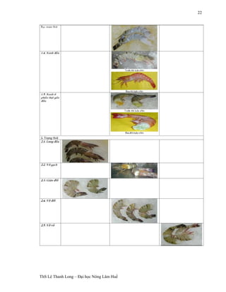 ThS Lê Thanh Long – Đại học Nông Lâm Huế 
22 
 