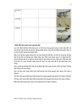 ThS Lê Thanh Long – Đại học Nông Lâm Huế 
23 
* Biến đổi cảm quan mực nguyên liệu 
Lúc mới đánh bắt lên khỏi mặt nước, cơ thịt mực trong suốt, lưng có màu nâu xẫm và 
các tế bào sắc tố trên da rất linh động (nhấp nháy). Sau đó độ nhấp nháy giảm dần và 
cơ thịt chuyển sang màu trắng nhạt. 
Nếu mực để lâu ngoài không khí da của chúng bị mất ẩm, cơ thịt co cứng lại, tế bào 
sắc tố cố định và không còn nhấp nháy nữa. Nếu mực được duy trì ở trạng thái ẩm 
ướt thì tế bào sắc tố co dần lại và bề mặt trở nên trắng với các chấm đen. Dần dần sắc 
tố bị tách ra, mực chuyển sang màu đỏ nhạt, lúc này mực đã đi vào giai đoạn ươn 
hỏng. 
Chú ý thao tác không cẩn thận trong đánh bắt, bảo quản sẽ làm màu da nhanh chóng 
biến hồng, đỏ (mực ống). 
Các chỉ tiêu cảm quan đánh giá chất lượng mực ống nguyên liệu được trình bày ở 
bảng 5. 
Chỉ tiêu cảm quan đánh giá chất lượng mực nang nguyên liệu được trình bày ở bảng 6. 
Chỉ tiêu cảm quan đánh giá chất lượng bạch tuộc nguyên liệu được trình bày ở bảng 7. 
Biến đổi chất lượng cảm quan mực ống được trình bày ở bảng 8. 
 