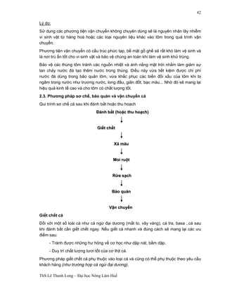 ThS Lê Thanh Long – Đại học Nông Lâm Huế 
42 
Lý do: 
Sử dụng các phương tiện vận chuyển không chuyên dùng sẽ là nguyên nhân lây nhiễm 
vi sinh vật từ hàng hoá hoặc các loại nguyên liệu khác vào tôm trong quá trình vận 
chuyển. 
Phương tiện vận chuyển có cấu trúc phức tạp, bề mặt gồ ghề sẽ rất khó làm vệ sinh và 
là nơi trú ẩn tốt cho vi sinh vật và bảo vệ chúng an toàn khi làm vệ sinh khử trùng. 
Bảo vệ các thùng tôm tránh các nguồn nhiệt và ánh nắng mặt trời nhằm làm giảm sự 
tan chảy nước đá tạo thêm nước trong thùng. Điều này vừa tiết kiệm được chi phí 
nước đá dùng trong bảo quản tôm, vừa khắc phục các biến đổi xấu của tôm khi bị 
ngâm trong nước như trương nước, long đầu, giãn đốt, bạc màu... Nhờ đó sẽ mang lại 
hiệu quả kinh tế cao và cho tôm có chất lượng tốt. 
2.3. Phương pháp sơ chế, bảo quản và vận chuyển cá 
Qui trình sơ chế cá sau khi đánh bắt hoặc thu hoạch 
ĐĐánh bắắt (hoặặc thu hoạạch) 
Giếết chếết 
Xảả máu 
Moi ruộột 
Rửửa sạạch 
Bảảo quảản 
Vậận chuyểển 
Giết chết cá 
Đối với một số loài cá như cá ngừ đại dương (mắt to, vây vàng), cá tra, basa ..cá sau 
khi đánh bắt cần giết chết ngay. Nếu giết cá nhanh và đúng cách sẽ mang lại các ưu 
điểm sau: 
- Tránh được những hư hỏng về cơ học như dập nát, bầm dập. 
- Duy trì chất lượng tươi tốt của cơ thịt cá. 
Phương pháp giết chết cá phụ thuộc vào loại cá và cũng có thể phụ thuộc theo yêu cầu 
khách hàng (như trường hợp cá ngừ đại dương). 
 