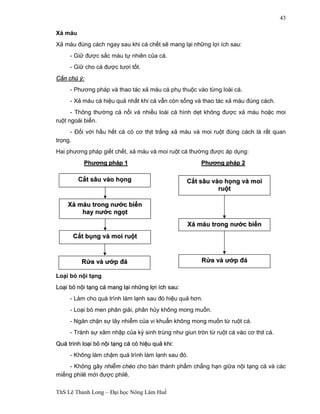 Cắắt sâu vào họọng 
Cắắt bụụng và moi ruộột 
Rửửa và ưướớp đđá 
ThS Lê Thanh Long – Đại học Nông Lâm Huế 
43 
Xả máu 
Xả máu đúng cách ngay sau khi cá chết sẽ mang lại những lợi ích sau: 
- Giữ được sắc màu tự nhiên của cá. 
- Giữ cho cá được tươi tốt. 
Cầần chú ý: 
- Phương pháp và thao tác xả máu cá phụ thuộc vào từng loài cá. 
- Xả máu cá hiệu quả nhất khi cá vẫn còn sống và thao tác xả máu đúng cách. 
- Thông thường cá nổi và nhiều loài cá hình dẹt không được xả máu hoặc moi 
ruột ngoài biển. 
- Đối với hầu hết cá có cơ thịt trắng xả máu và moi ruột đúng cách là rất quan 
trọng. 
Hai phương pháp giết chết, xả máu và moi ruột cá thường được áp dụng: 
Phưươơng pháp 1 Phưươơng pháp 2 
Loại bỏ nội tạng 
Loạại bỏỏ nộội tạạng cá mang lạại nhữững lợợi ích sau: 
- Làm cho quá trình làm lạnh sau đó hiệu quả hơn. 
- Loại bỏ men phân giải, phân hủy không mong muốn. 
- Ngăn chặn sự lây nhiễm của vi khuẩn không mong muốn từ ruột cá. 
- Tránh sự xâm nhập của ký sinh trùng như giun tròn từ ruột cá vào cơ thịt cá. 
Quá trình loạại bỏỏ nộội tạạng cá có hiệệu quảả khi: 
- Không làm chậm quá trình làm lạnh sau đó. 
- Không gây nhiễm chéo cho bán thành phẩm chẳng hạn giữa nội tạng cá và các 
miếng philê mới được philê. 
Cắắt sâu vào họọng và moi 
ruộột 
Rửửa và ưướớp đđá 
Xảả máu trong nưướớc biểển 
hay nưướớc ngọọt 
Xảả máu trong nưướớc biểển 
 