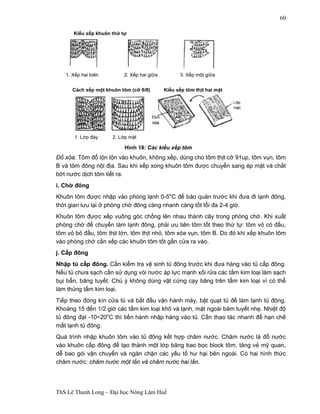1. Xếp hai biên 2. Xếp hai giữa 3. Xếp một giữa 
1. Lớp đáy 2. Lớp mặt 
Hình 18: Các kiểu xếp tôm 
ThS Lê Thanh Long – Đại học Nông Lâm Huế 
60 
Kiểu xếp khuôn thứ tự 
Cách xếp một khuôn tôm (cỡ 6/8) Kiểu xếp tôm thịt hai mặt 
Đổ xóa. Tôm đổ lộn lộn vào khuôn, không xếp, dùng cho tôm thịt cỡ 91up, tôm vụn, tôm 
B và tôm đông nội địa. Sau khi xếp xong khuôn tôm được chuyển sang ép mặt và chắt 
bớt nước dịch tôm tiết ra. 
i. Chờ đông 
Khuôn tôm được nhập vào phòng lạnh 0-5oC để bảo quản trước khi đưa đi lạnh đông, 
thời gian lưu lại ở phòng chờ đông càng nhanh càng tốt tối đa 2-4 giờ. 
Khuôn tôm được xếp vuông góc chồng lên nhau thành cây trong phòng chờ. Khi xuất 
phòng chờ để chuyển làm lạnh đông, phải ưu tiên tôm tốt theo thứ tự: tôm vỏ có đầu, 
tôm vỏ bỏ đầu, tôm thịt lớn, tôm thịt nhỏ, tôm xóa vụn, tôm B. Do đó khi xếp khuôn tôm 
vào phòng chờ cần xếp các khuôn tôm tốt gần cửa ra vào. 
j. Cấp đông 
Nhập tủ cấp đông. Cần kiểm tra vệ sinh tủ đông trước khi đưa hàng vào tủ cấp đông. 
Nếu tủ chưa sạch cần sử dụng vòi nước áp lực mạnh xối rửa các tấm kim loại làm sạch 
bụi bẩn, băng tuyết. Chú ý không dùng vật cứng cạy băng trên tấm kim loại vì có thể 
làm thủng tấm kim loại. 
Tiếp theo đóng kín cửa tủ và bắt đầu vận hành máy, bật quạt tủ để làm lạnh tủ đông. 
Khoảng 15 đến 1/2 giờ các tấm kim loại khô và lạnh, mặt ngoài bám tuyết nhẹ. Nhiệt độ 
tủ đông đạt -10÷20oC thì tiến hành nhập hàng vào tủ. Cần thao tác nhanh để hạn chế 
mất lạnh tủ đông. 
Quá trình nhập khuôn tôm vào tủ đông kết hợp châm nước. Châm nước là đổ nước 
vào khuôn cấp đông để tạo thành một lớp băng bao bọc block tôm, tăng vẻ mỹ quan, 
dễ bao gói vận chuyển và ngăn chặn các yếu tố hư hại bên ngoài. Có hai hình thức 
châm nước: châm nước một lần và châm nước hai lần. 
 