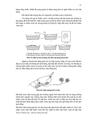 Hình 19: Một vài ảnh hưởng xấu đến mặt băng block tôm 
Hình 20: Hiện tượng khô vỏ tôm 
ThS Lê Thanh Long – Đại học Nông Lâm Huế 
62 
băng càng nhiều. Nhiệt độ xung quanh tủ đông càng lạnh thì giảm thiểu sự nứt mặt 
băng. 
- Rỗ mặt là hiện tượng xảy ra ở mặt dưới, do thiếu nước ở mặt dưới. 
- Trơ băng còn gọi là "thiếu nước", là hiện tượng mặt trên block tôm không có 
lớp băng, để lộ bề mặt tôm. Hiện tượng này có thể do châm nước không đủ để lấp mặt 
tôm hoặc có châm nước đủ nhưng khuôn bị thủng lỗ, chảy hết nước và đôi khi châm 
nước sót. 
1. Gồ ghề mặt băng; 2. Gồ ghề có nắp; 3. Gai đá mặt băng sù sì 
4. Dày băng do xô lệch mặt tôm; Dày băng do không ép mặt tôm 
- Ngoài ra khuôn tôm đông lạnh còn có hiện tượng "cháy vỏ" xảy ra khi để tôm 
tiếp xúc trực tiếp với không khí lạnh đông, đặc biệt đối với tôm vỏ mỏng. Có thể đây là 
những thành phần Canxi có trong vỏ khi mất nước sẽ nổi rõ thành những đốm trắng 
trên vỏ, đốm trắng này là chùm tia tròn, màu trắng sữa. 
Để khắc phục hiện tượng gây ảnh hưởng ngoại hình block tôm cần sử dụng những 
khuôn tôm nguyên vẹn, không móp méo. Không chắt nước khuôn tôm quá kỹ và cần 
châm nước lót đáy để tránh rỗ mặt tôm. Tránh cho tôm vỏ tiếp xúc trực tiếp lâu với 
nhiệt độ lạnh đông bằng cách châm nước kịp thời hoặc bao gói block tôm vỏ khi làm 
lạnh đông. 
Để tránh hiện tượng gai đá, chỉ cần dùng nắp đậy khuôn để ngăn tuyết rơi. Chú ý khi 
châm nước, đặc biệt châm nước lần hai, tuyết rơi trên mặt nước; mặc dù đậy nắp 
 