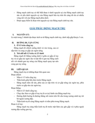 Cám ơn bạn đã tải tài liệu từ fb.com/HoiMeSachCoMaLuoi. Hãy cùng chia sẻ tài liệu có ích nhé!
5
- Động mạch cánh tay có thể thắt được dưới nguyên uỷ của Động mạch cánh tay
sâu và nếu dưới nguyên uỷ của Động mạch bên trụ trên thì càng tốt do có nhiều
vòng nối với các Động mạch phía dưới.
- Đoạn nguy hiểm là đoạn trên nguyên uỷ của Động mạch cánh tay sâu.
GI I PHẪU Đ NG M CH TR
I. NGUYÊN U :
Là một trong 2 nhánh tận được tách ra từ Động mạch cánh tay, dưới nếp gấp khuỷu 3 cm.
II. Đ NG ĐI, TẬN CỐNG
1. 1/3 trên cẳng tay
Động mạch đi chếch xuống dưới và vào trong, sau cơ
sấp tròn và cung cơ gấp các ngón nông.
2. T i ch n i 1/3 trên và 2/3 d i
Động mạch đi thẳng xuống dưới giữa cơ gấp cổ tay
trụ và cơ gấp các ngón sâu và tận hết gan tay bằng cách
nối với nhánh gan tay nông của Động mạch quay tạo nên
cung gan tay nông.
III. LIÊN QUAN
Động mạch trụ có những đoạn liên quan sau:
Đoạn chếch:
- Nằm 1/3 trên cẳng tay.
- Thần kinh giữa bắt chéo trước Động mạch.
- Động mạch nằm rất sâu, phía sau cơ sấp tròn và cơ gấp nông các ngón tay, phía
trước cơ gấp sâu các ngón tay.
Đoạn thẳng:
- Nằm 2/3 dưới cẳng tay.
- Chạy dọc theo cơ gấp cổ tay trụ là cơ tuỳ hành của Động mạch trụ.
- Đư ng định hướng là đư ng thẳng nối mỏm trên lồi cầu trong xương cánh tay tới
b ngoài xương đậu.
- Thần kinh trụ đi cùng Động mạch và nằm phía trong Động mạch.
Đoạn cổ tay:
Động mạch trụ cùng thần kinh trụ đi trước mặt hãm các gân gấp và phía ngoài
xương đậu xuống gan tay.
 