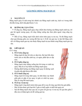 Cám ơn bạn đã tải tài liệu từ fb.com/HoiMeSachCoMaLuoi. Hãy cùng chia sẻ tài liệu có ích nhé!
7
GI I PHẪU Đ NG M CH QUAY
I. NGUYÊN U
Động mạch quay là một trong hai nhánh của Động mạch cánh tay, tách ra trong rãnh
nhị đầu trong, dưới nếp gấp khuỷu 3 cm.
II. Đ NG ĐI, TẬN CỐNG
 cẳng tay, Động mạch quay chạy chếch theo hướng của Động mạch cánh tay, tới
góc b ngoài xương quay, rồi chạy thẳng xuống dọc theo phía ngoài vùng cẳng tay
trước.
 Đến cổ tay, Động mạch luồn dưới mỏm trâm quay ra mu tay. Từ đó Động mạch
chui qua khoang giữa các xương đốt bàn tay I, II để vào gan tay và tận hết bằng cách
nối với Động mạch gan tay sâu thuộc Động mạch trụ tạo thành cung Động mạch gan tay
sâu.
III. LIÊN QUAN
Có 3 vùng
1. 1/3 trên cẳng tay
- Động mạch đi dọc b trên cơ sấp tròn, lần lượt bắt chéo
trước cân cơ nhị đầu cánh tay, cơ ngửa, phần tận cơ sấp
tròn.
2. 1/3 giữa cẳng tay
- Động mạch chạy thẳng xuống dọc b trong cơ cánh tay
quay. Đây là cơ tuỳ hành của Động mạch quay.
- Đư ng định hướng của Động mạch quay là đư ng vạch
từ giữa nếp gấp khuỷu đến rãnh.
3. 1/3 d i cẳng tay
- Động mạch đi trong rãnh quay, là rãnh được tạo thành
giữa gân cơ gấp cổ tay quay và gân cơ cánh tay quay.
Đây là vùng bắt mạch quay.
4. cổ tay và mu tay
- Động mạch vòng dưới mỏm trâm quay để ra sau rồi chạy qua hõm lào giải phẫu.
- Đây là hõm được giới hạn b i 2 gân cơ duỗi ngắn và duỗi dài ngón cái.
- Sau đó Động mạch chọc qua các cơ gian cốt gan tay và mu tay rồi qua khe giữa 2
đầu của cơ khép ngón cái để xuống gan tay
 