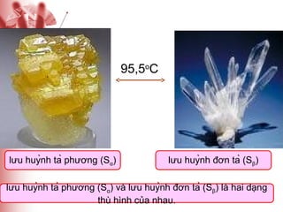 95,5oC

lưu huỳnh tà phương (Sα)

lưu huỳnh đơn tà (Sβ)

lưu huỳnh tà phương (Sα) và lưu huỳnh đơn tà (Sβ) là hai dạng
thù hình của nhau.

 