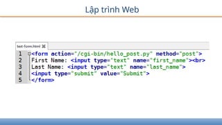 Lập trình Web
 