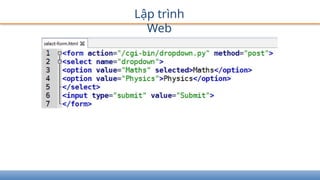 Lập trình
Web
 