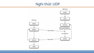 Nghi thức UDP
 