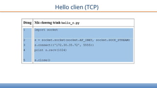 Hello clien (TCP)
 
