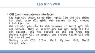 Lập trình Web
• CGI (common gateway interface)
Tập hợp các chuẩn mà nó định nghĩa làm thế nào thông
tin được trao đổi giữa Web server và một chương
trình kịch bản
Khi có một yêu cầu từ Web browser (client) gửi đến
Web server, thay vì server gửi lại nội dung tập tin
đến client, thì Web server có thể gọi thực thi
chương trình CGI và output của chương trình CGI gửi
lại cho client
Chương trình CGI: C/C++, Perl, Python, PHP, Shell
Script, etc.
 