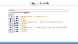 Lập trình Web
 