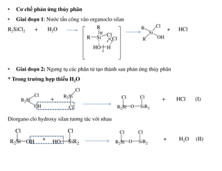 • Cơ chế phản ứng thủy phân
• Giai đoạn 1: Nước tấn công vào organoclo silan
R2SiCl2 + H2O + HCl
• Giai đoạn 2: Ngưng tụ các phân tử tạo thành sau phản ứng thủy phân
* Trong trường hợp thiếu H2O
SiR
R
Cl
HO H
Cl
Si
R
R
Cl
OH
+ + HCl (I)
Diorgano clo hydroxy silan tương tác với nhau
+ + H2O (II)
R2Si
Cl
OH
R2Si
Cl
Cl
R2Si
Cl
O SiR2
Cl
R2Si
Cl
OH SiR2
Cl
HO R2Si
Cl
O SiR2
Cl
 