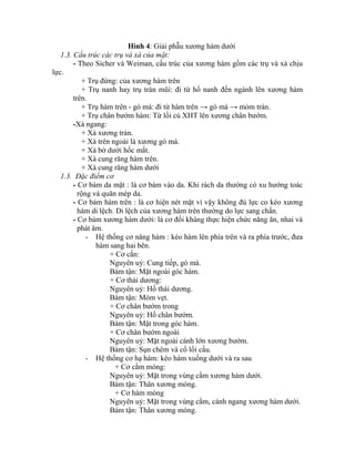 Hình 4: Giải phẫu xương hàm dưới
1.3. Cấu trúc các trụ và xà của mặt:
- Theo Sicher và Weiman, cấu trúc của xương hàm gồm các trụ và xà chịu
lực.
+ Trụ đứng: của xương hàm trên
+ Trụ nanh hay trụ trán mũi: đi từ hố nanh đến ngành lên xương hàm
trên.
+ Trụ hàm trên - gò má: đi từ hàm trên → gò má → mỏm trán.
+ Trụ chân bướm hàm: Từ lồi củ XHT lên xương chân bướm.
-Xà ngang:
+ Xà xương trán.
+ Xà trên ngoài là xương gò má.
+ Xà bờ dưới hốc mắt.
+ Xà cung răng hàm trên.
+ Xà cung răng hàm dưới
1.3. Đặc điểm cơ
- Cơ bám da mặt : là cơ bám vào da. Khi rách da thường có xu hướng toác
rộng và quăn mép da.
- Cơ bám hàm trên : là cơ hiện nét mặt ví vậy không đủ lực co kéo xương
hàm di lệch. Di lệch của xương hàm trên thường do lực sang chấn.
- Cơ bám xương hàm dưới: là cơ đối kháng thực hiện chức năng ăn, nhai và
phát âm.
- Hệ thống cơ nâng hàm : kéo hàm lên phìa trên và ra phìa trước, đưa
hàm sang hai bên.
+ Cơ cắn:
Nguyên uỷ: Cung tiếp, gò má.
Bám tận: Mặt ngoài góc hàm.
+ Cơ thái dương:
Nguyên uỷ: Hố thái dương.
Bám tận: Mỏm vẹt.
+ Cơ chân bướm trong
Nguyên uỷ: Hố chân bướm.
Bám tận: Mặt trong góc hàm.
+ Cơ chân bướm ngoài
Nguyên uỷ: Mặt ngoài cánh lớn xương bướm.
Bám tận: Sụn chêm và cổ lồi cầu.
- Hệ thống cơ hạ hàm: kéo hàm xuống dưới và ra sau
+ Cơ cằm móng:
Nguyên uỷ: Mặt trong vùng cằm xương hàm dưới.
Bám tận: Thân xương móng.
+ Cơ hàm móng
Nguyên uỷ: Mặt trong vùng cằm, cành ngang xương hàm dưới.
Bám tận: Thân xương móng.
 