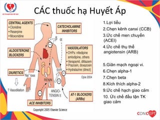 CÁC thuốc hạ Huyết Áp
1.Lợi tiểu
2.Chẹn kênh canxi (CCB)
3.Ức chế men chuyển
(ACEI)
4.Ức chế thụ thể
angiotensin (ARB)
5.Giãn mạch ngoại vi.
6.Chẹn alpha-1
7.Chẹn beta
8.Kích thích alpha-2
9.Ức chế hạch giao cảm
10. Ức chế đầu tận TK
giao cảm
 