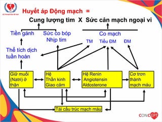 Huyết áp Động mạch =
Cung lượng tim X Sức cản mạch ngoại vi
Tiền gánh Sức co bóp
Nhịp tim
Thể tích dịch
tuần hoàn
Giữ muối
(Natri) ở
thận
Hệ
Thần kinh
Giao cảm
Hệ Renin
Angiotensin
Aldosterone
Tiểu ĐM
TM
Co mạch
ĐM
Cơ trơn
thành
mạch máu
Tái cấu trúc mạch máu
 
