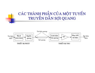CAÙC THAØNH PHAÀN CUÛA MOÄT TUYEÁNCAC THANH PHAN CUA MOÄT TUYEN
TRUYEÀN DAÃN SÔÏI QUANG
Tín hieäu quang
Maïch
kích thích
Nguoàn
quang
Linh kieän
thu quang
Phuïc hoài
tín hieäu
KÑ
Sôïi quang
Tín hieäu
ñieän
Tín hieäu
ñieän
Tín hieäu quang
THIEÁT BÒ PHAÙT THIEÁT BÒ THU
 