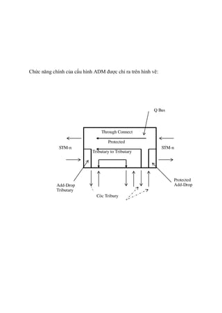 Chức năng chính của cấu hình ADM được chỉ ra trên hình vẽ:
Through Connect
Protected
Tributary to Tributary
Q Bus
Protected
Add-DropAdd-Drop
Tributary
Các Tribury
STM-n STM-n
 