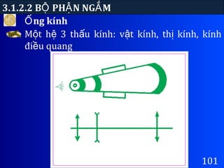 ng kínhỐ
3.1.2.2 B PH N NG MỘ Ậ Ắ
101
M t h 3 th u kính: v t kính, th kính, kínhộ ệ ấ ậ ị
đi u quangề
 