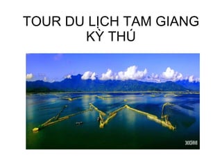 TOUR DU LỊCH TAM GIANG KỲ THÚ 