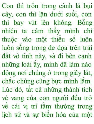 Con thì trốn trong cành lá bụi
cây, con thì lặn dưới suối, con
thì bay vút lên không. Bỗng
nhiên ta cảm thấy mình chỉ
thuộc vào một thiểu số luôn
luôn sống trong đe dọa trên trái
đất vô tình này, và đi bên cạnh
những loài ấy, mình đã làm náo
động nơi chúng ở trong giây lát,
chắc chúng cũng bực mình lắm.
Lúc đó, tất cả những thành tích
vẻ vang của con người đều trở
về cái vị trí tầm thường trong
lịch sử và sự biến hóa của một
 