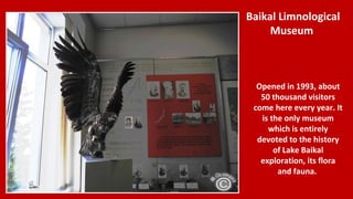 Opened in 1993, about
50,000 visitors come
here every year. It is the
only museum which is
entirely devoted to the
history of Lake Baikal
exploration, its flora
and fauna.
Baikal Limnological
Museum