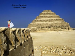 Cobra et Pyramide,
Saqqara, Égypte
 