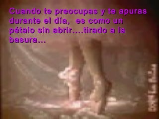Cuando te preocupas y te   apuras durante el día,  es como un pétalo sin abrir....tirado a la basura... 