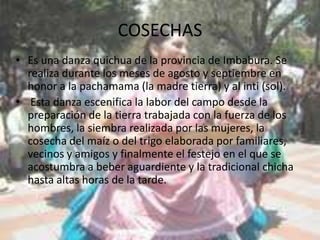 COSECHAS
• Es una danza quichua de la provincia de Imbabura. Se
  realiza durante los meses de agosto y septiembre en
  honor a la pachamama (la madre tierra) y al inti (sol).
• Esta danza escenifica la labor del campo desde la
  preparación de la tierra trabajada con la fuerza de los
  hombres, la siembra realizada por las mujeres, la
  cosecha del maíz o del trigo elaborada por familiares,
  vecinos y amigos y finalmente el festejo en el que se
  acostumbra a beber aguardiente y la tradicional chicha
  hasta altas horas de la tarde.
 
