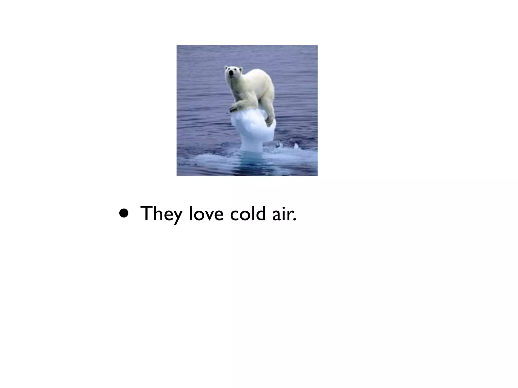 • They love cold air.
 