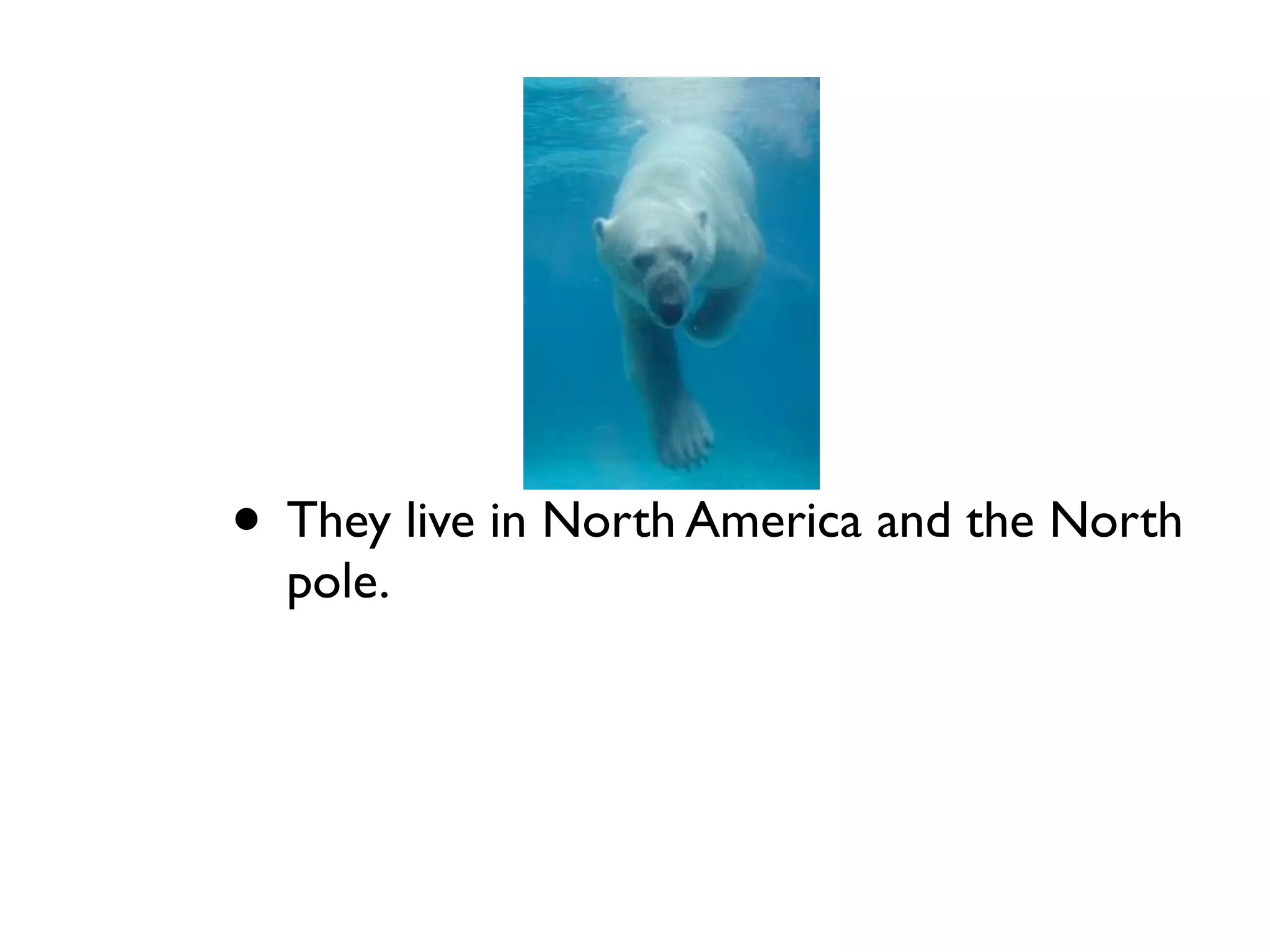 • They live in North America and the North
  pole.
 