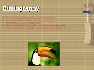 Bibliography http://animals.nationalgeographic.com/animals/birds/toucan/ http://wiki.answers.com/Q/How_fast_does_the_toucan_fly forums.birdhobbyist.com/forum.php?catid =45   http://www.chenowith.k12.or.us/ces/1999_2000/Rainforest2/toucan.html http://www.digitaldesktopwallpaper.com/downloads/animal_wallpaper_014.htm 