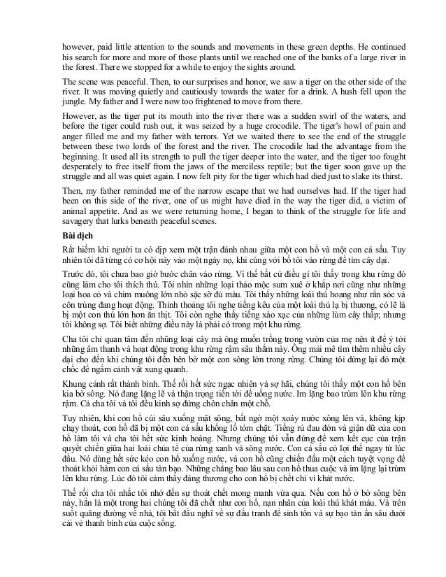 Bài essay mẫu image